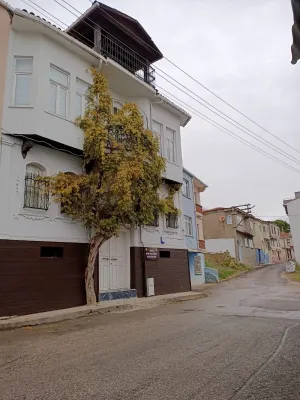 BİGA - MOR SALKIMLI KÜLTÜR EVİ - Fotoğraf 2