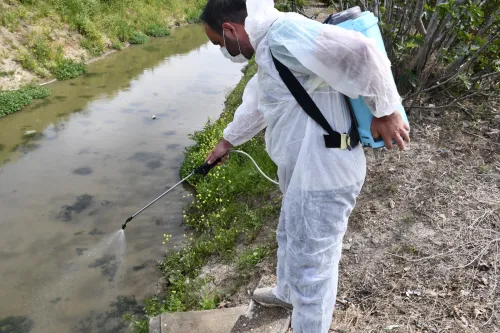 Biga Belediyesi'nden Larva İlaçlaması - Fotoğraf 1