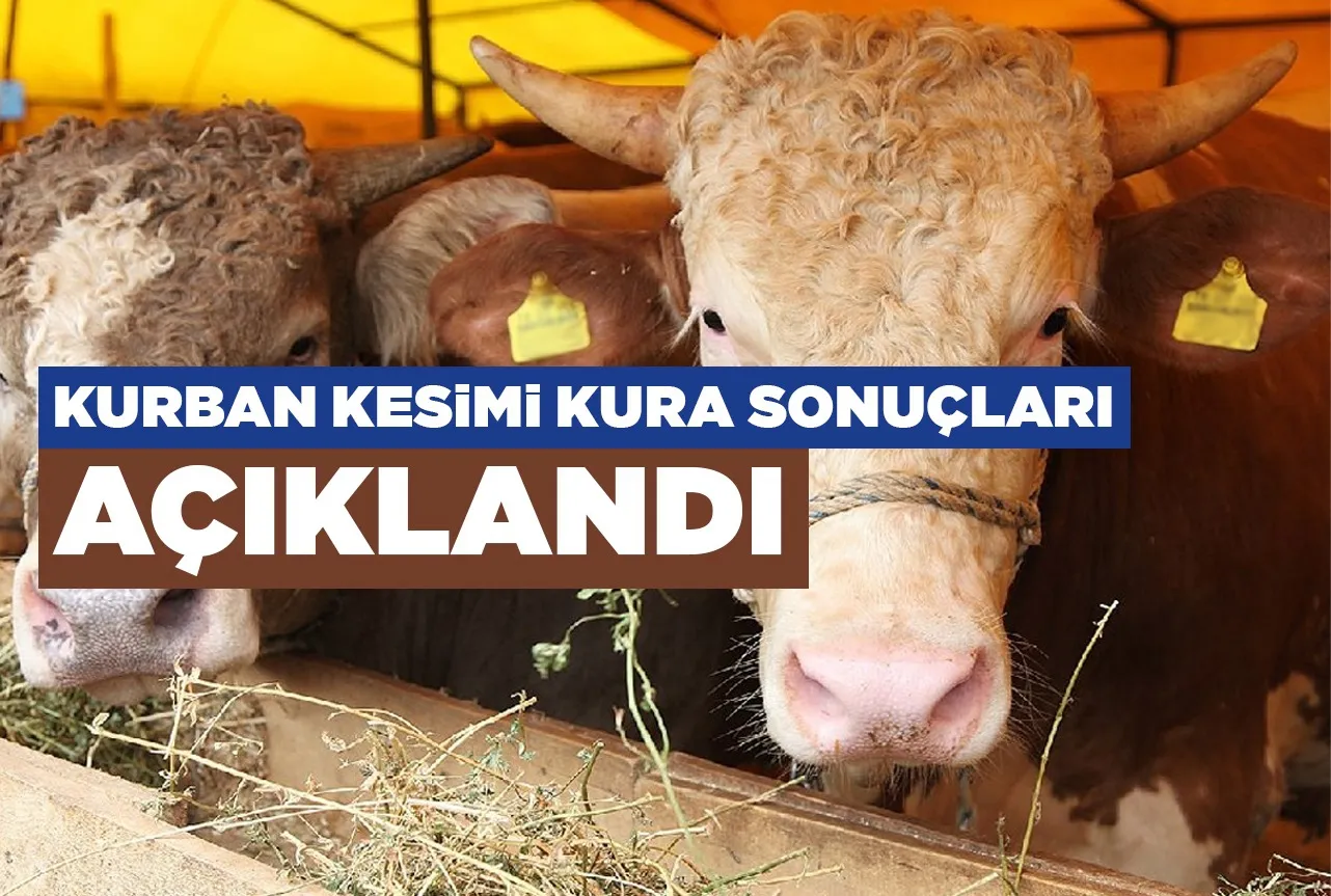 Kurban Kesimi Kura Sonuçları Belli Oldu